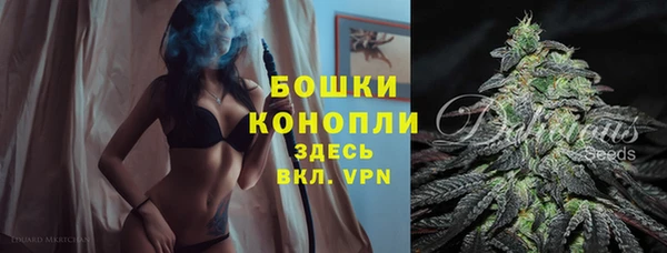 крисы Саяногорск